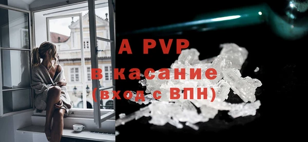 ECSTASY Гусев