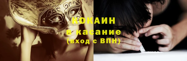 амф Горняк