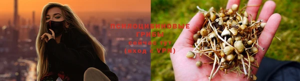 ECSTASY Гусев