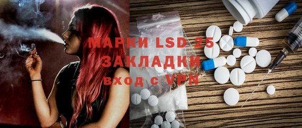 амф Горняк