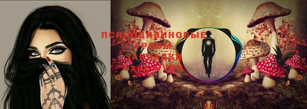 прущая мука Горно-Алтайск