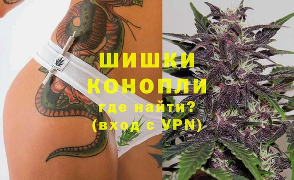 амф Горняк